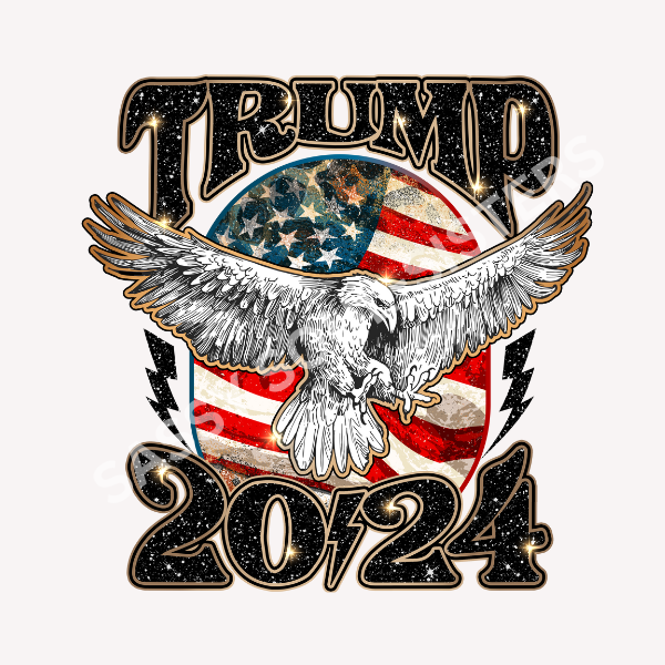 TRUMP 2024 GLITTER IMAGE